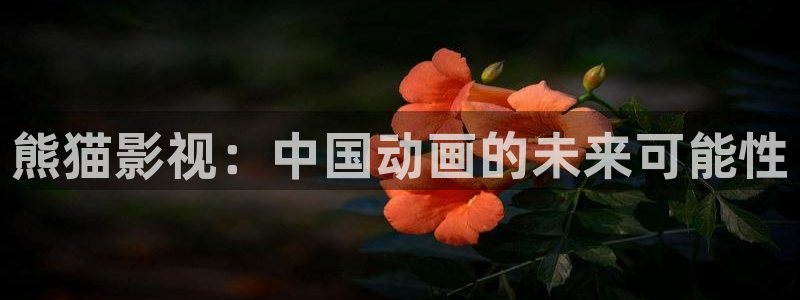 在线神马影院在线观看