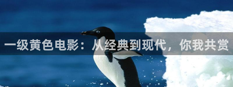 神马飘雪免费观看电视剧西瓜影院