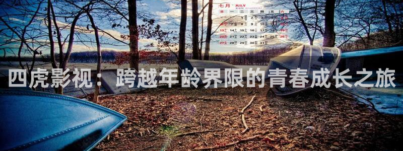 原来的神马影院网