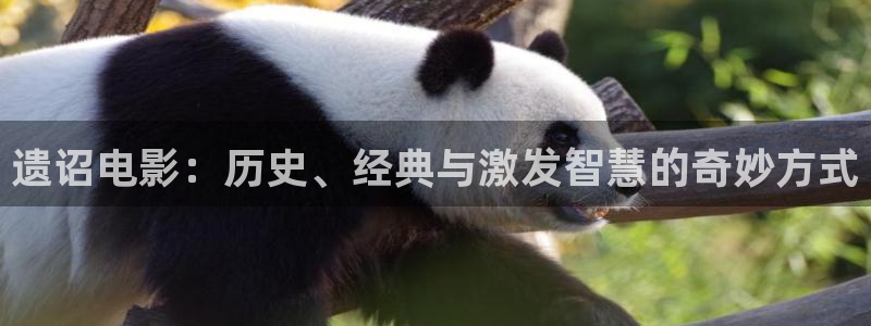 神马电影网达达兔不卡