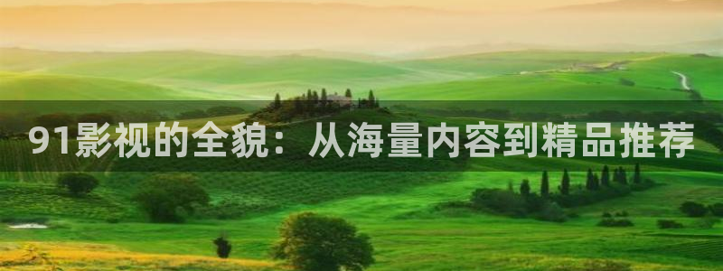 神马影院网在线观看