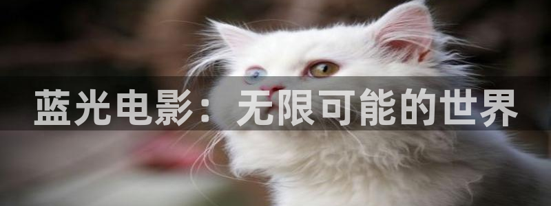 神马影院手机在观看