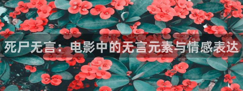神马达达兔影院我不卡：死尸无言：电影中的无言元素与情感表达