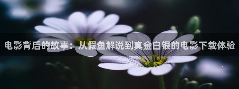 在线影院神马电影：电影背后的故事：从假鱼解说到真金白银的电影下载体验