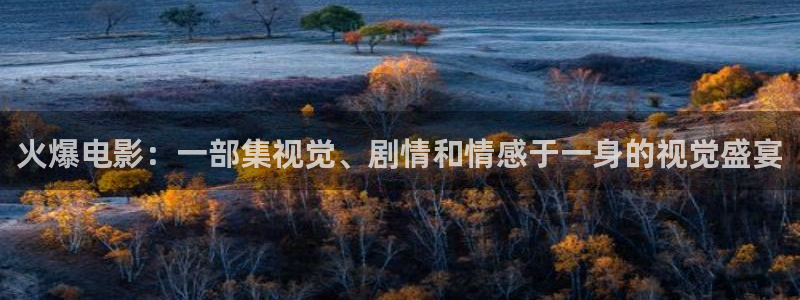 神马影院电视剧免费观看完整版九重：火爆电影：一部集视觉、剧情和情感于一身的视觉盛宴