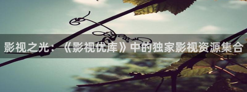 神马影院电影通：影视之光：《影视优库》中的独家影视资源集合