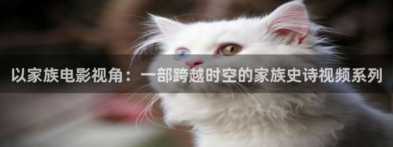 神马电影版：以家族电影视角：一部跨越时空的家族史诗视频系列