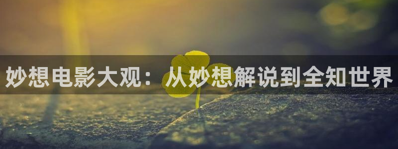 神马影院不卡网：妙想电影大观：从妙想解说到全知世界